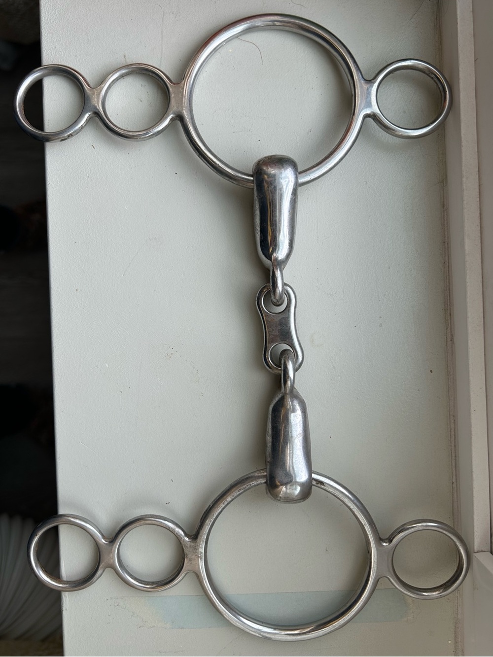 French Link 4-Ring Dutch Gag Bit